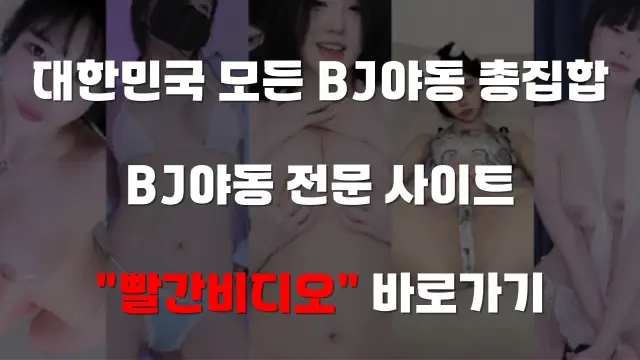 BJ야동 전문 빨간비디오